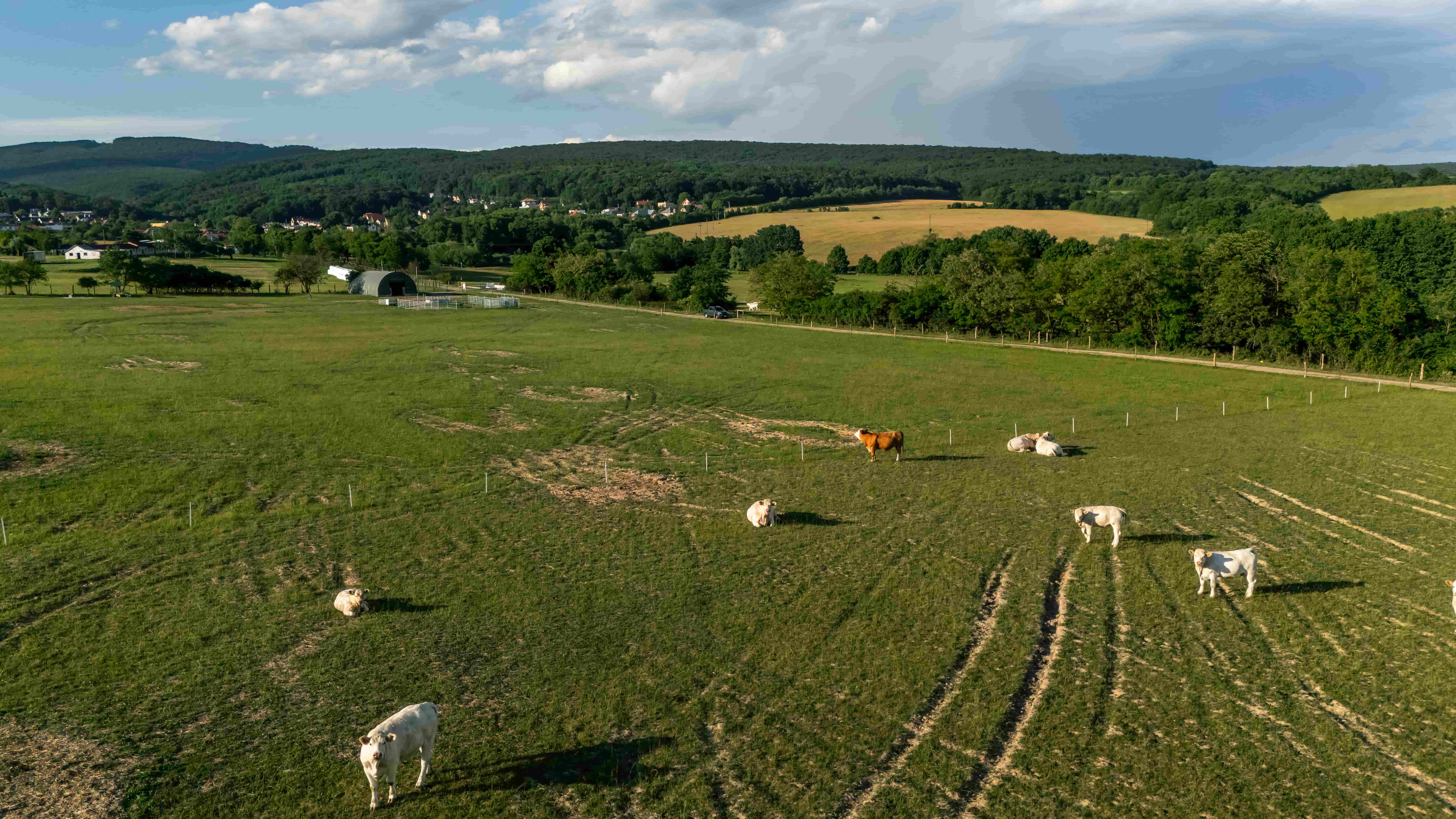 Green Farm Šemša — fotografia 16