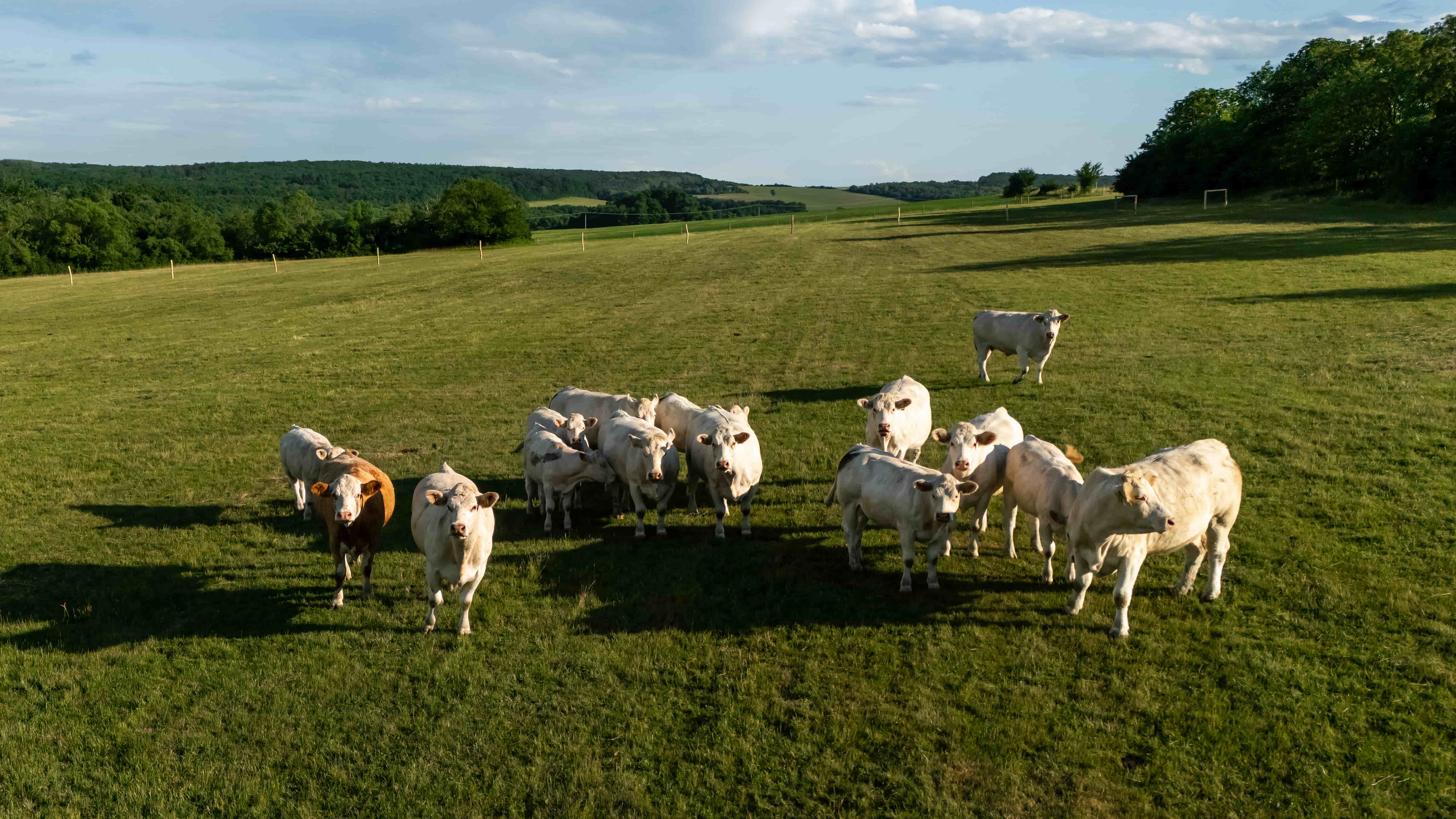Green Farm Šemša — fotografia 15