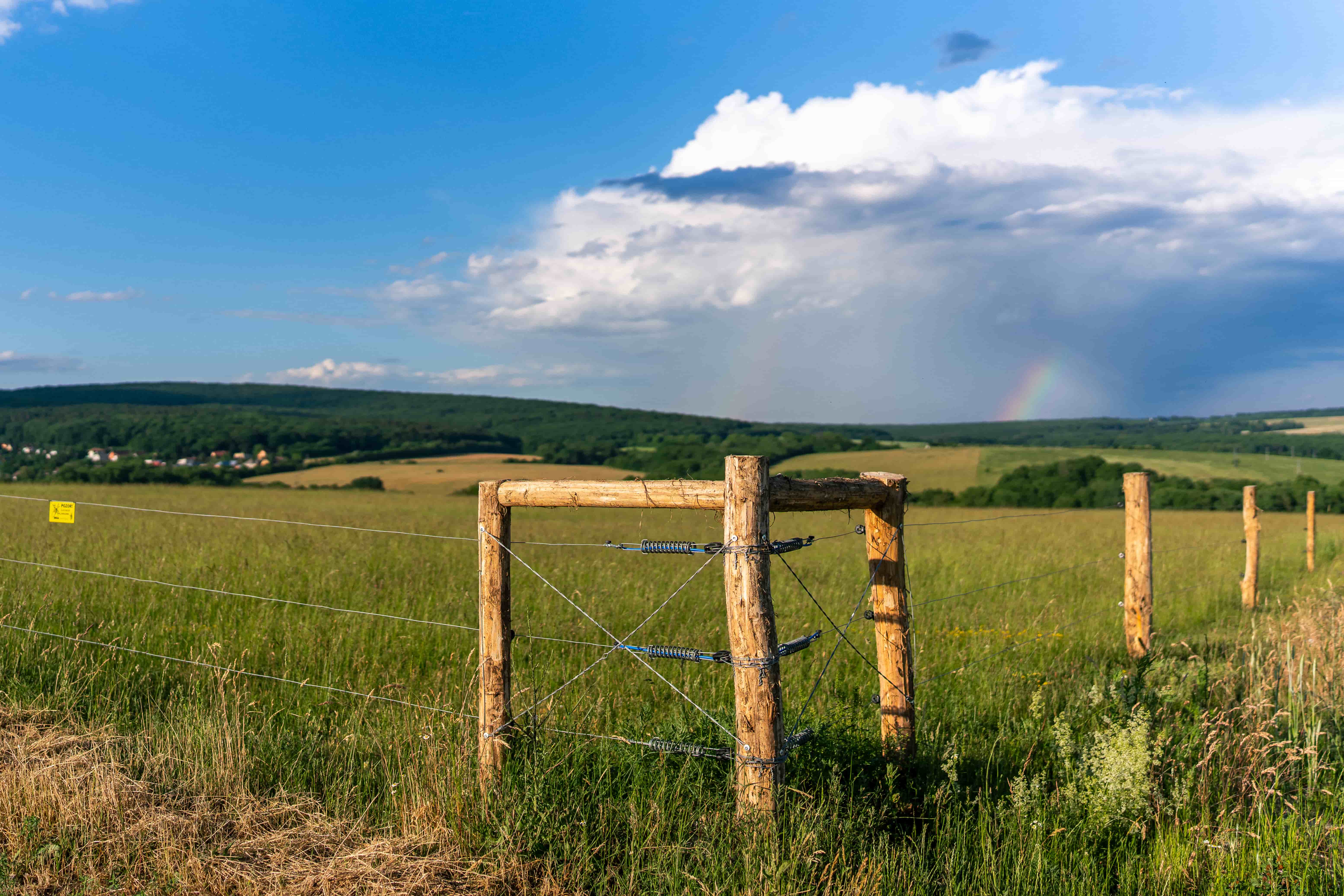 Green Farm Šemša — fotografia 11