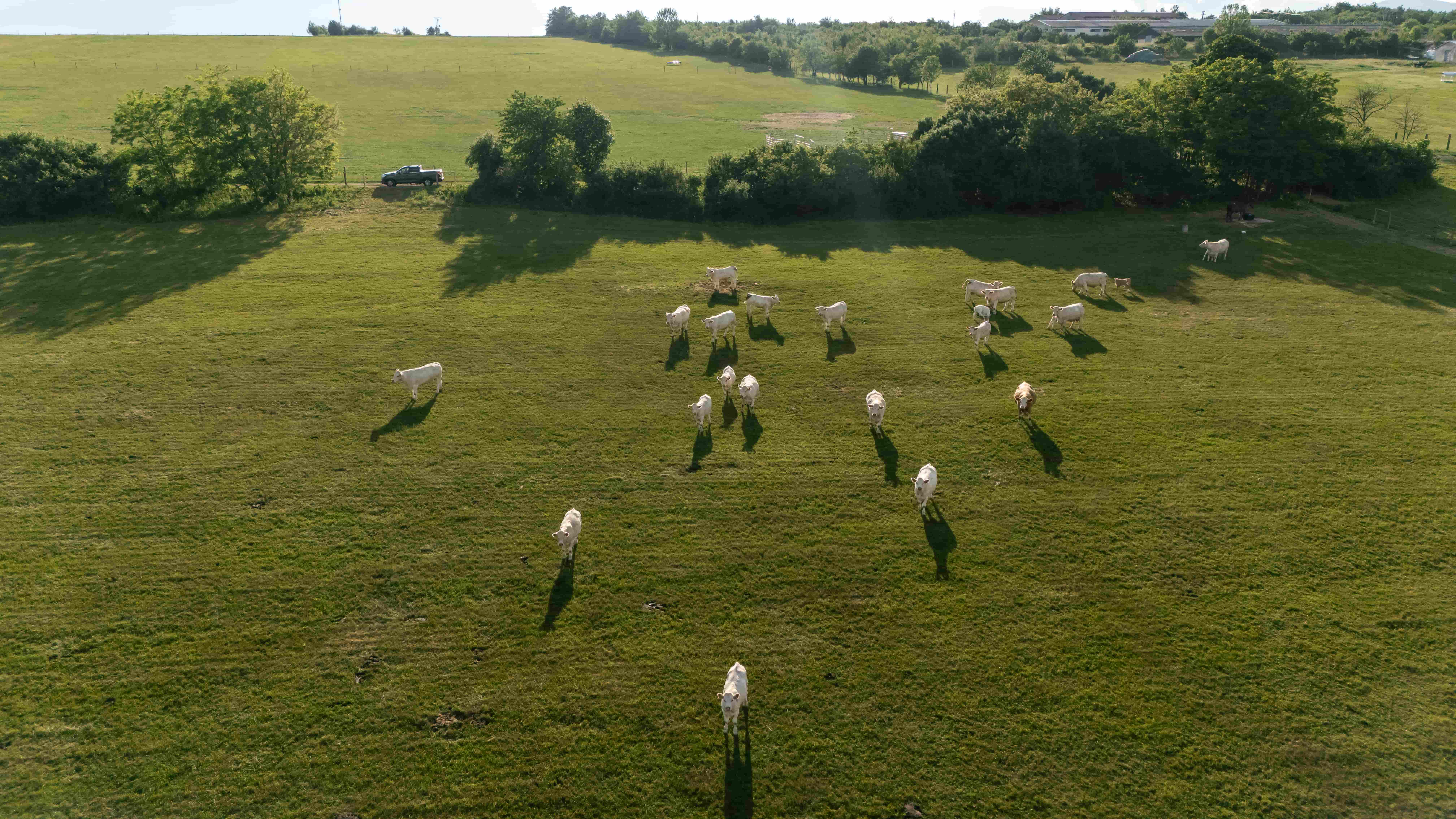 Green Farm Šemša — fotografia 14